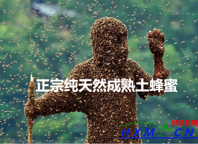 张家界到长沙拼车电话，商务车小车队电话