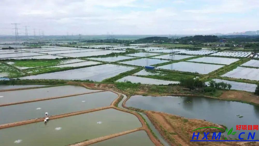 繁昌区:生态循环养殖 开启致富新路