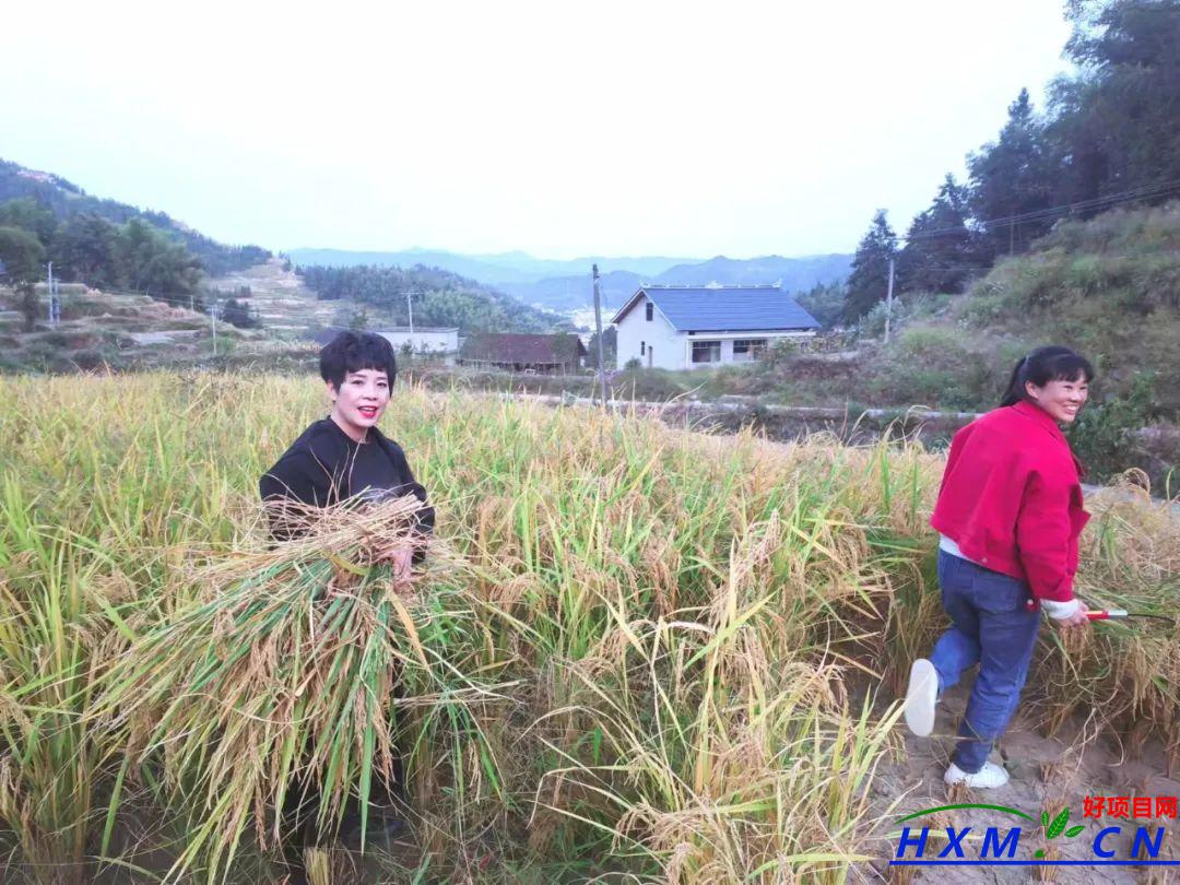 新化不一样的农家妹子，致富不忘乡邻....