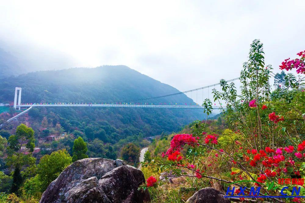 水韵幽谷·浪漫新告：乡村文旅带头人的致富路