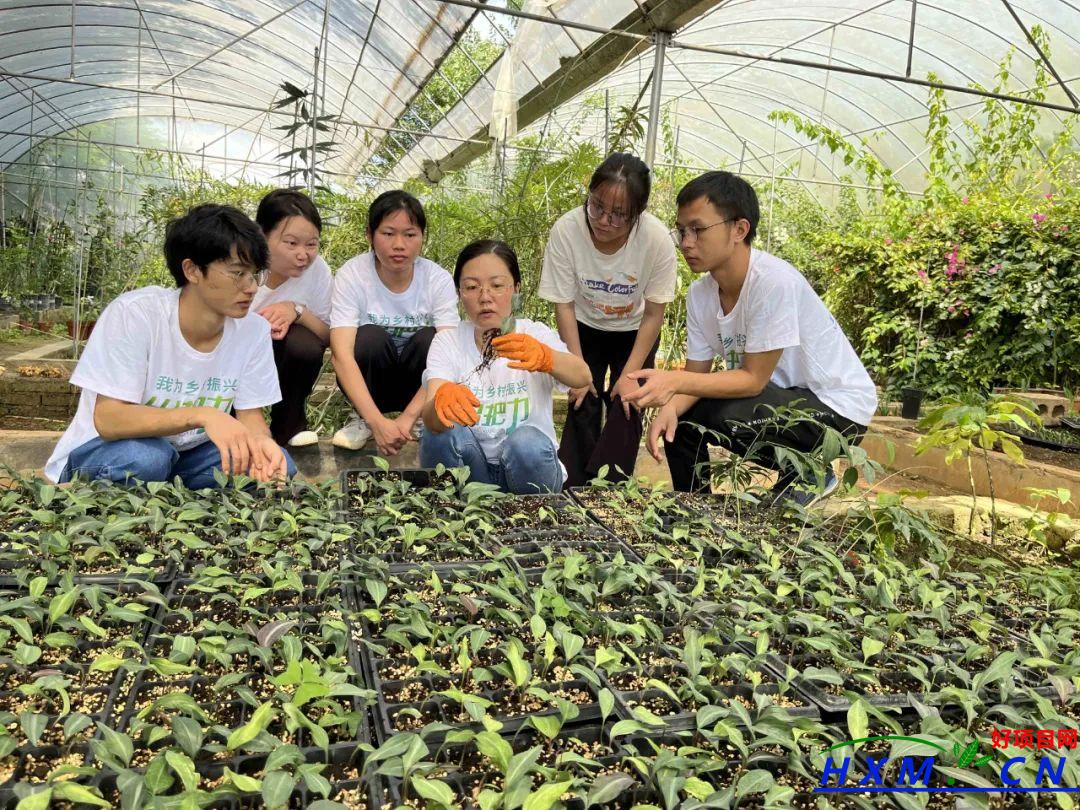 科技赋能 小菌菇撑起乡村振兴“致富伞”