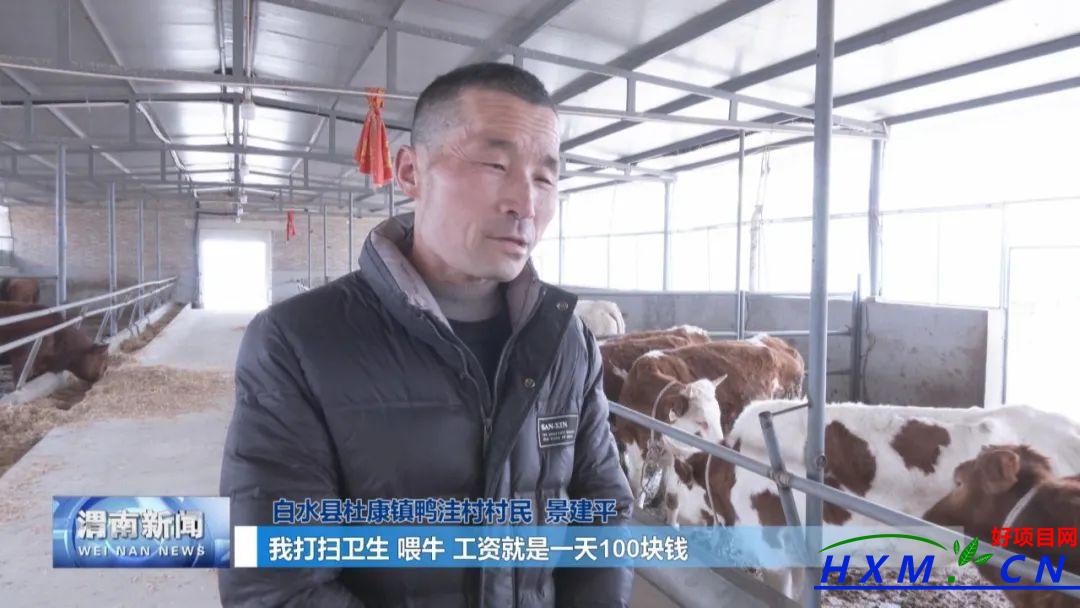 白水：杨亮亮返乡创业 生态养殖助力乡村振兴